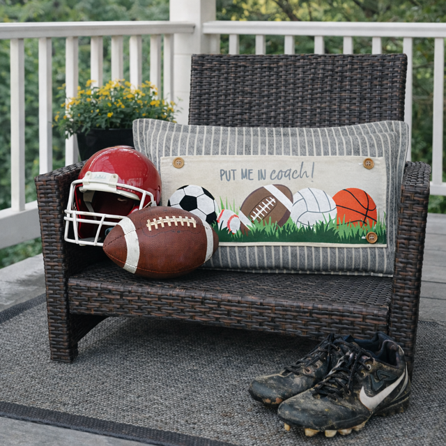 PANEL ONLY: Winter Spring Summer Fall Football Autumn; Sports / Superbowl Panel