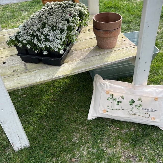 Botanical Panel: Shamrock St. Patrick's Farm Spring, Summer; WHITE CLOVER