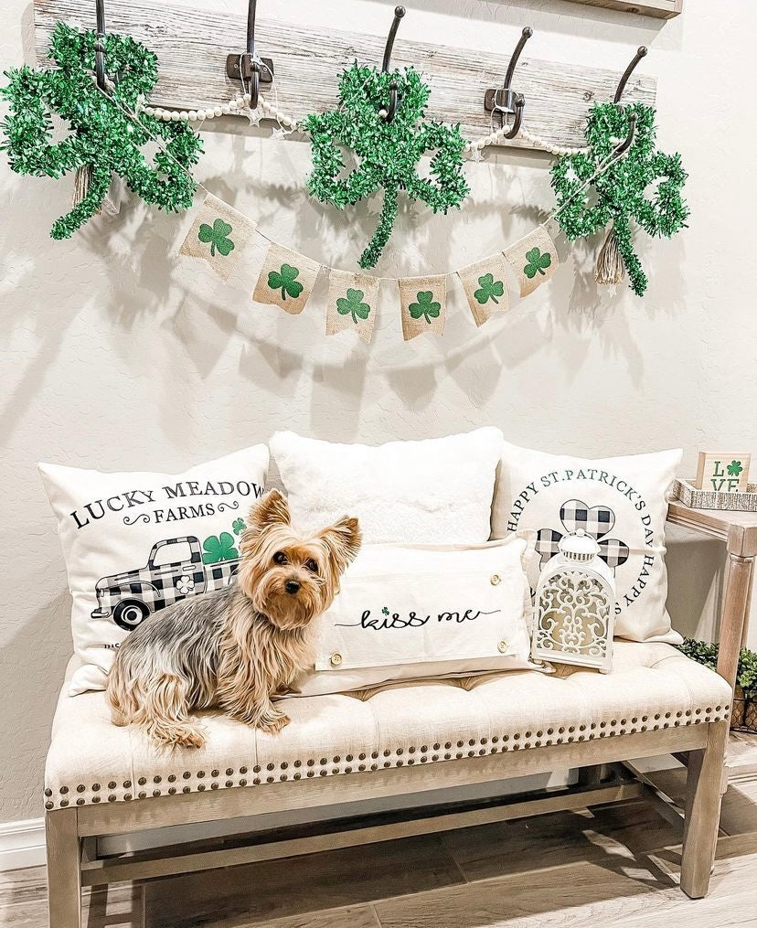 Glitter Holiday Panel: Kiss Me Shamrock. Spring, St Saint Patricks Day Leprechaun Irish Saying, Luck: KISS ME SHAMROCK