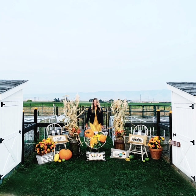 BRING MY PANEL BACK: Vintage PUMPKIN BLACK TRUCK