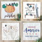 SQUARE  BUNDLE SET: Ticking Stripes Pillow (comes with foam insert and these 4 panels in back pocket); Winter Spring Summer Fall Autumn: SKI BENCH, HELLO PUMPKIN, LAND THAT I LOVE, SPRING DRIED FLOWERS