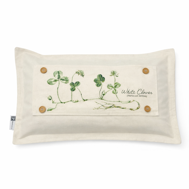 PILLOW ONLY (with fluffy insert): Natural Boho Cream: BOHO PILLOW (with insert)