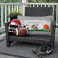 PANEL ONLY: Winter Spring Summer Fall Football Autumn; Sports / Superbowl Panel