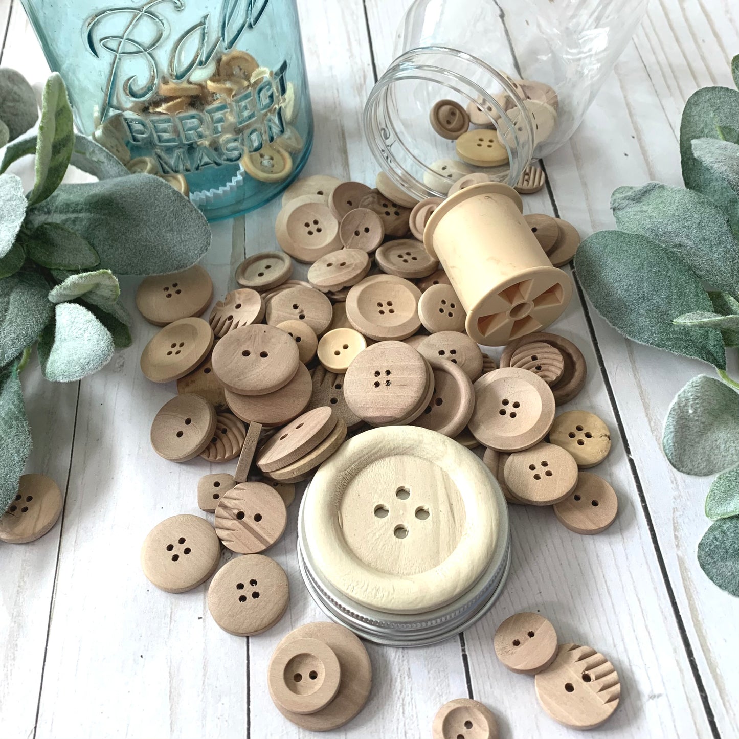 Spare Wood Button: Ridged with 4 holes
